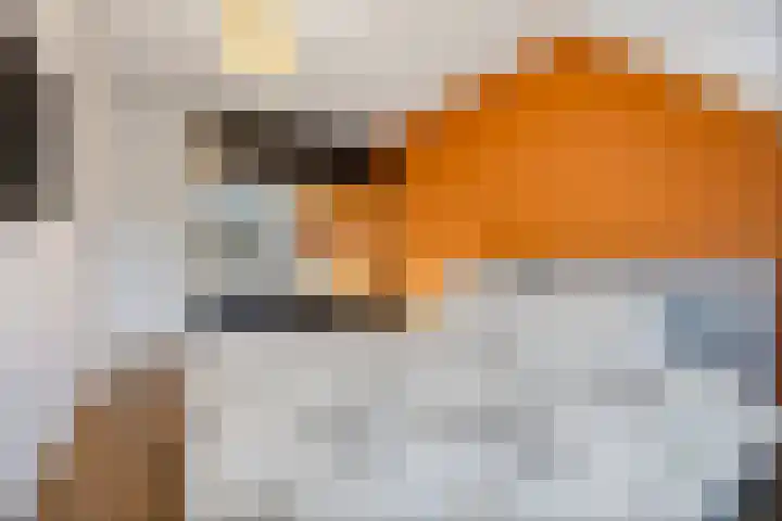 Bansingel 88 Oudenbosch thumbnail 20