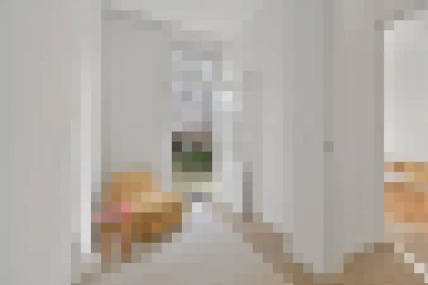 Banstraat 14 Den Haag thumbnail 13
