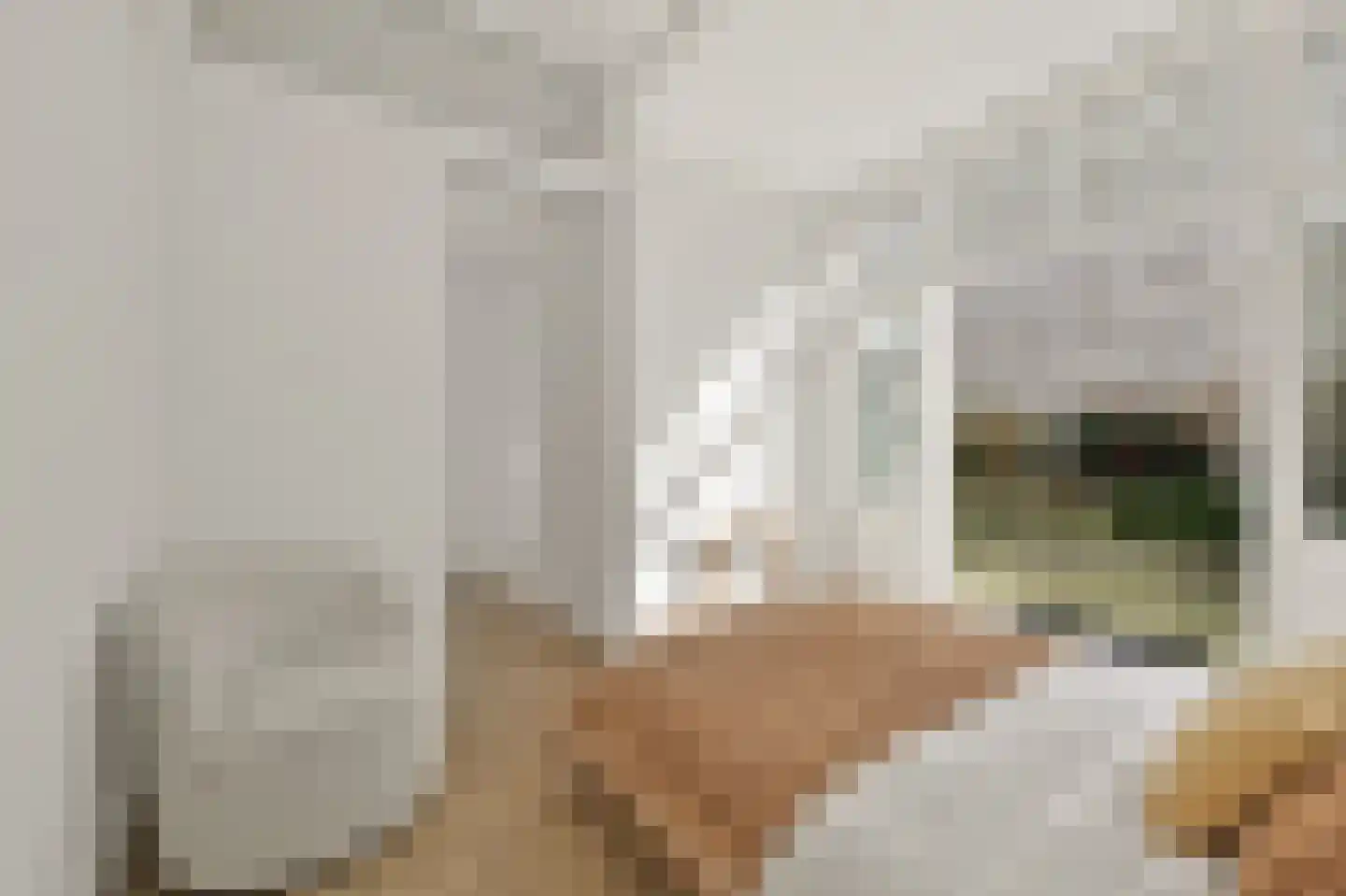 Banstraat 14 Den Haag thumbnail 16