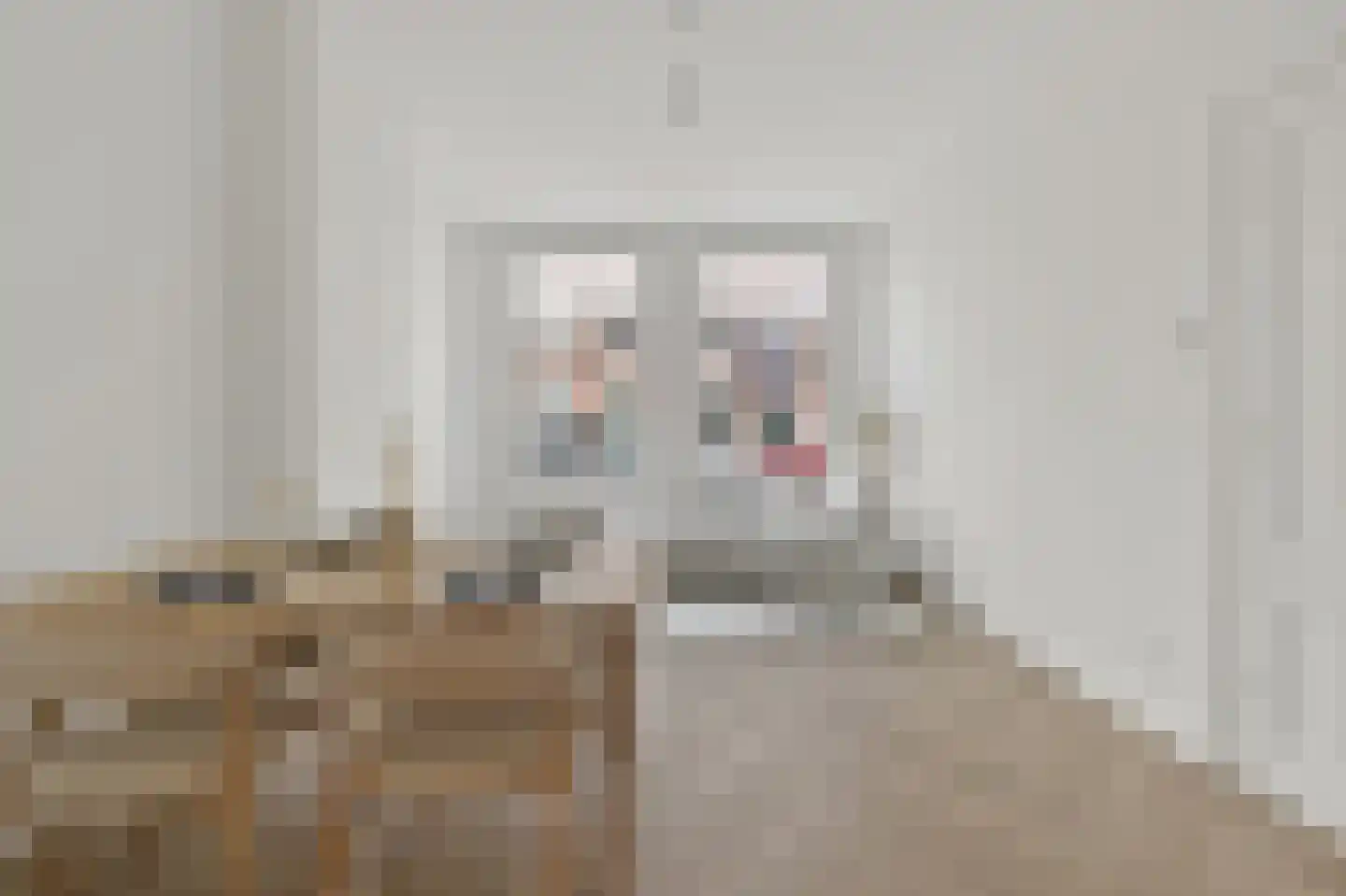 Banstraat 14 Den Haag thumbnail 8