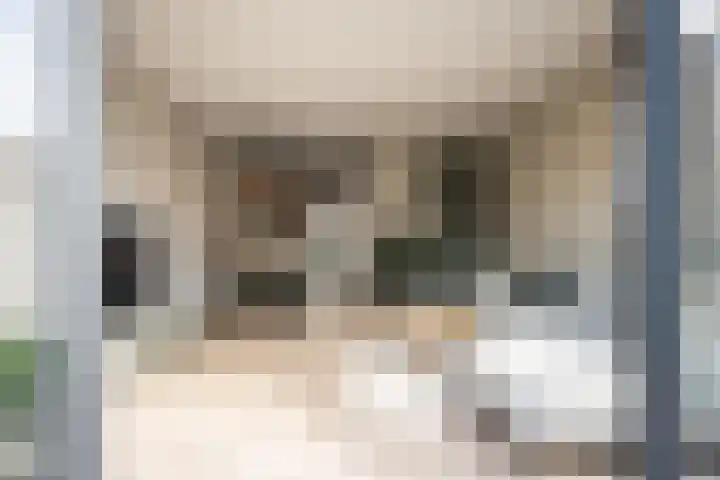 Bantamstraat 34 Haarlem thumbnail 16