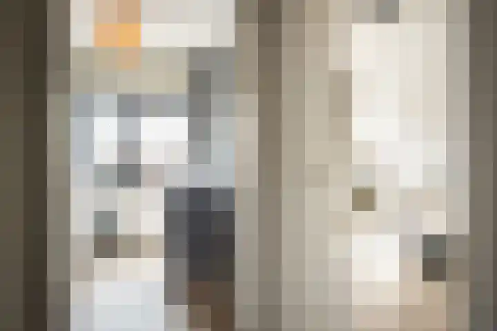 Bantamstraat 34 Haarlem thumbnail 20