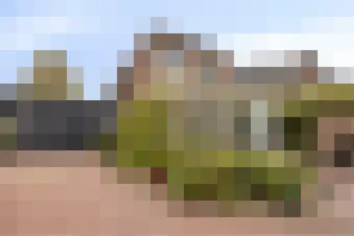 Bantuinweg 25 Rhenen thumbnail 36