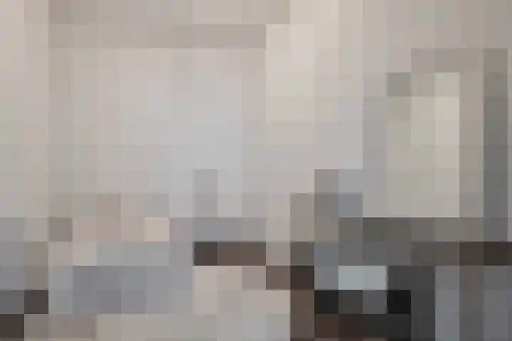Barak 5 Purmerend thumbnail 12