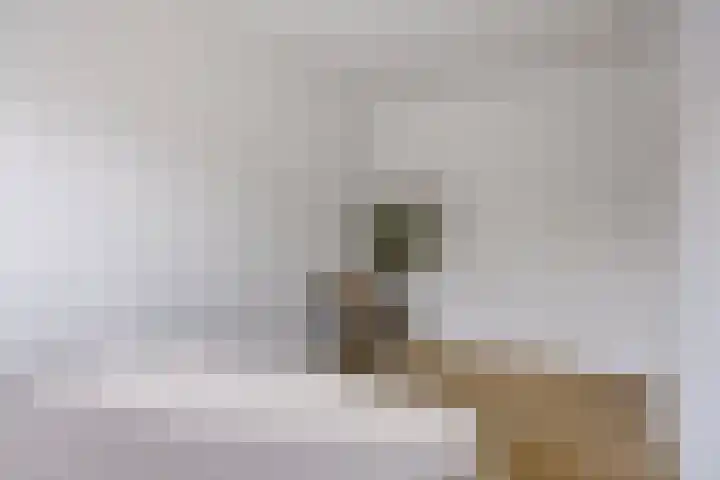 Barak 5 Purmerend thumbnail 20