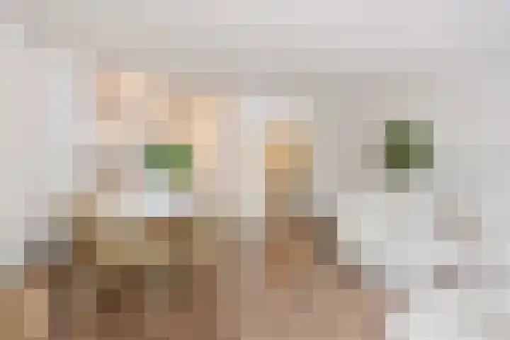 Barak 5 Purmerend thumbnail 4