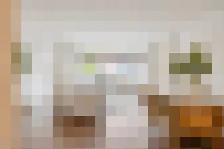 Barak 5 Purmerend thumbnail 6