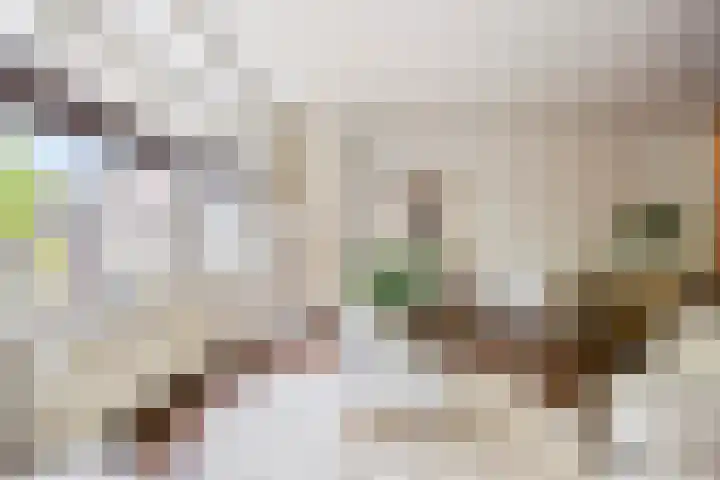 Barak 5 Purmerend thumbnail 8