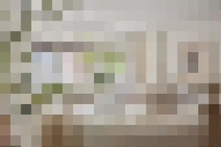 Barak 5 Purmerend thumbnail 9