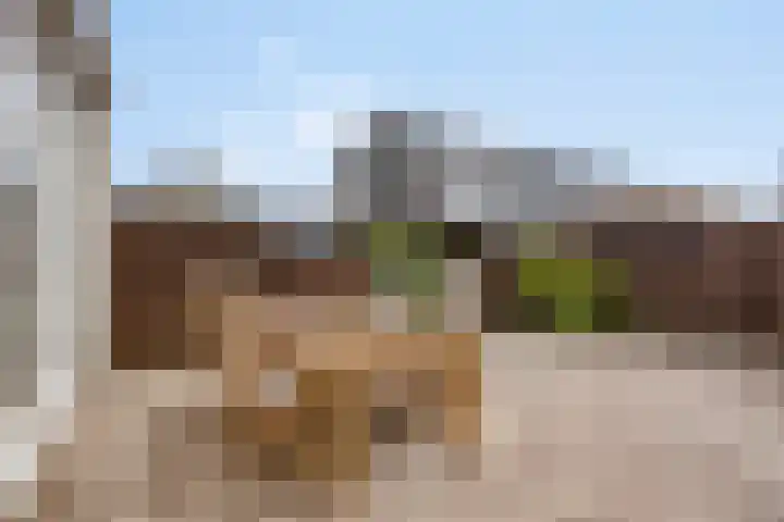 Barbadosstraat 21 Purmerend thumbnail 26
