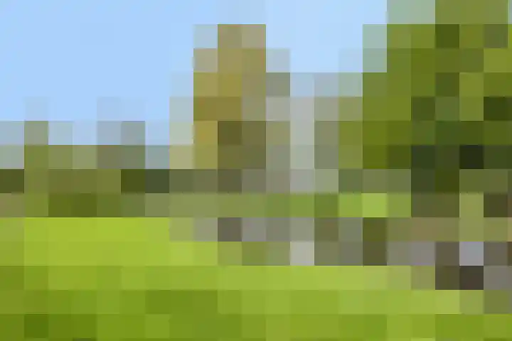 Barbadosstraat 21 Purmerend thumbnail 30