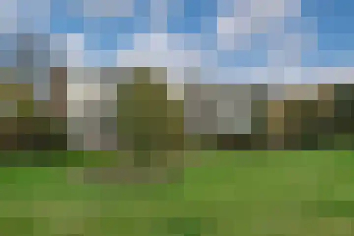 Barbaragaarde 14 Bussum thumbnail 20