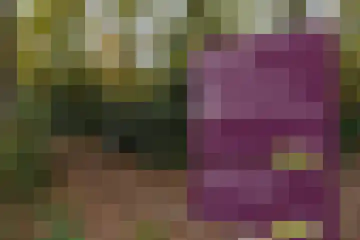 Barbaragaarde 14 Bussum thumbnail 21