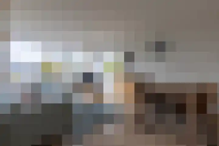 Barbaragaarde 14 Bussum thumbnail 9