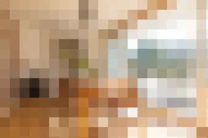 Barbaragaarde 54 Bussum thumbnail 13