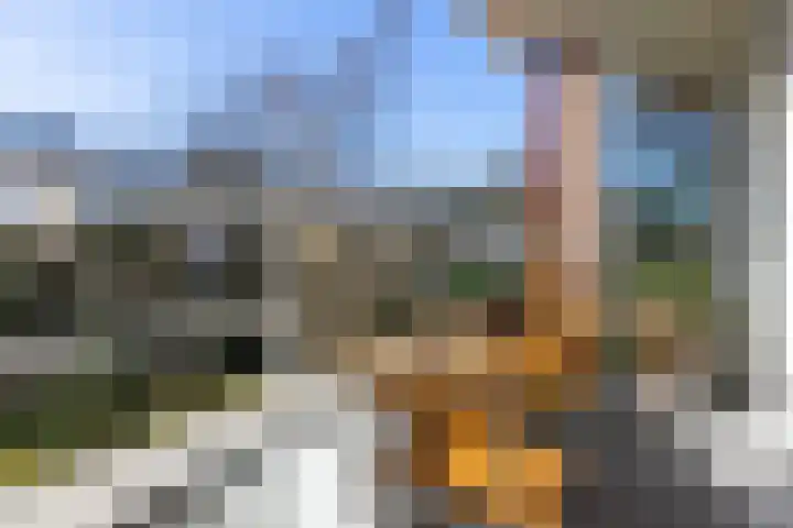 Barbaragaarde 54 Bussum thumbnail 16
