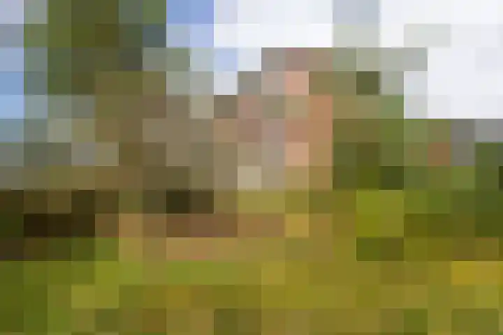 Barbaragaarde 54 Bussum thumbnail 36