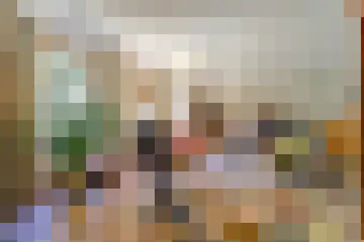Barbarastraat 9 Helden thumbnail 10