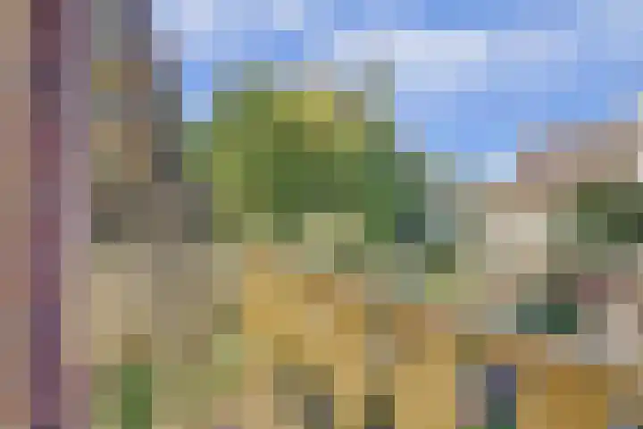 Barbarastraat 9 Helden thumbnail 31