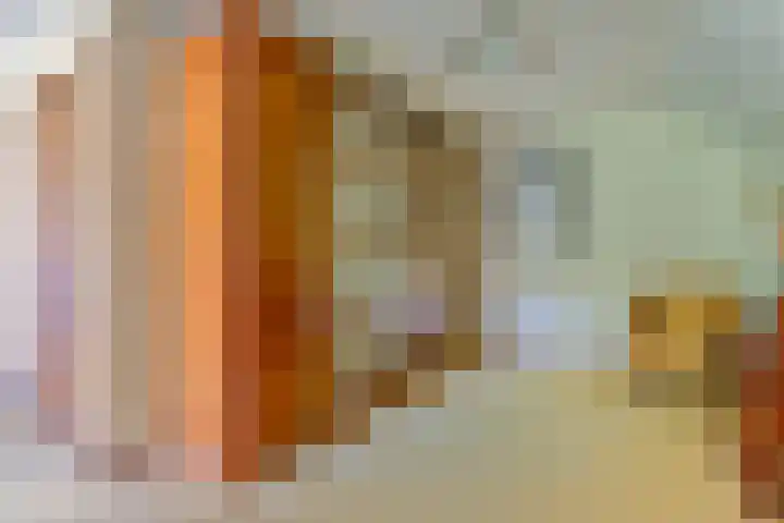 Barbarastraat 9 Helden thumbnail 34