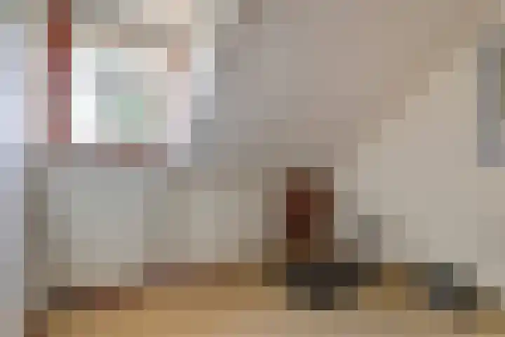 Barbarastraat 9 Helden thumbnail 36