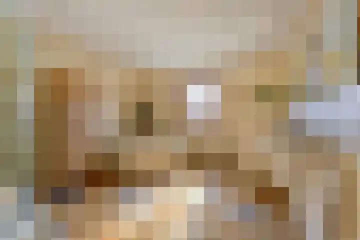 Barbarastraat 9 Helden thumbnail 38