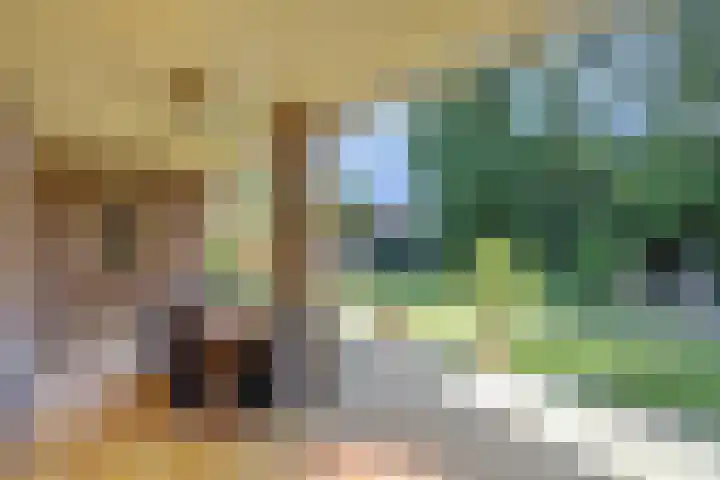 Barbarastraat 9 Helden thumbnail 43