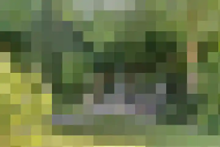 Barbarastraat 9 Helden thumbnail 44