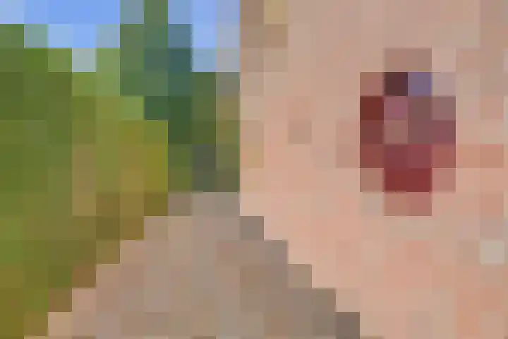 Barbarastraat 9 Helden thumbnail 51