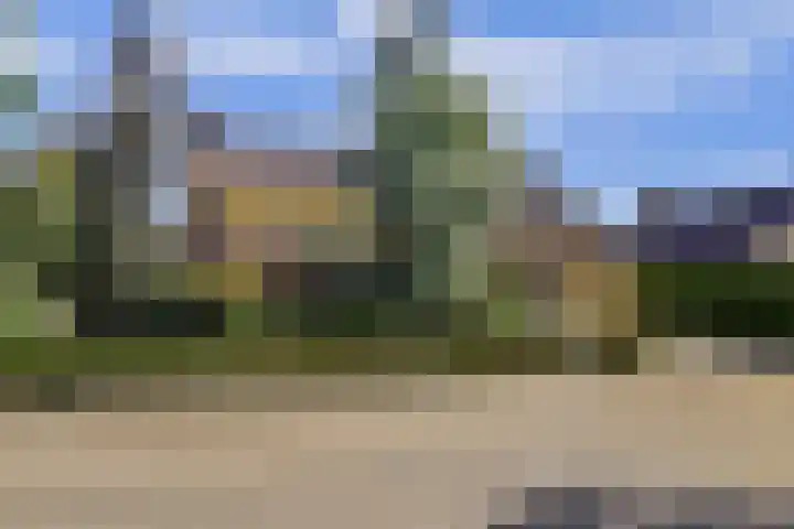 Barbarastraat 9 Helden thumbnail 53