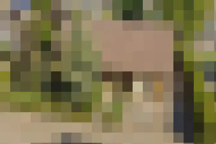Barbarastraat 9 Helden thumbnail 59