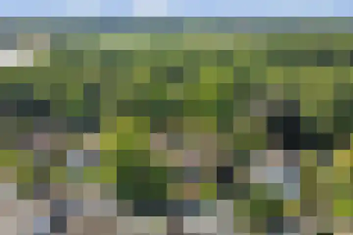 Barbarastraat 9 Helden thumbnail 61