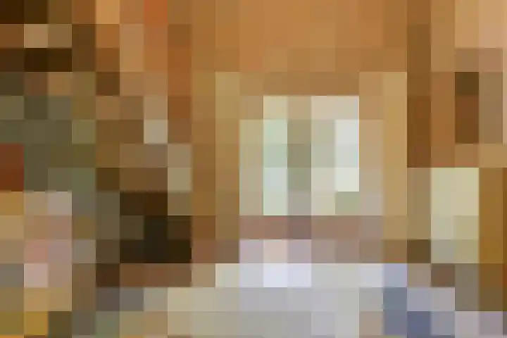 Barbarastraat 9 Helden thumbnail 7