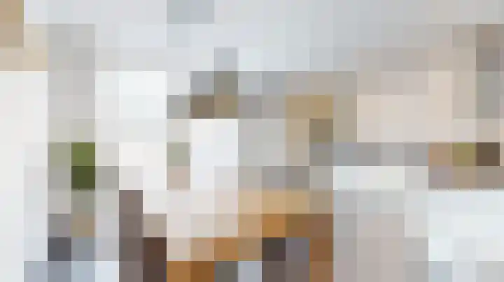 Barbarastraat 9 Susteren thumbnail 12
