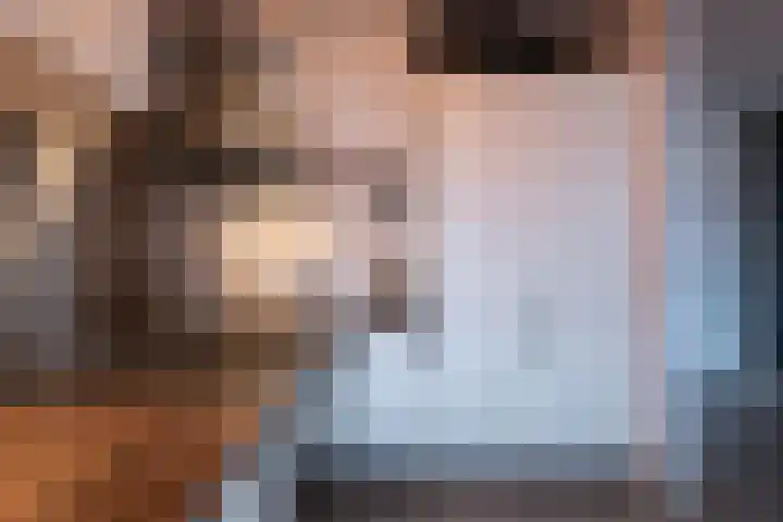 Barbeel 12 Hellevoetsluis thumbnail 14