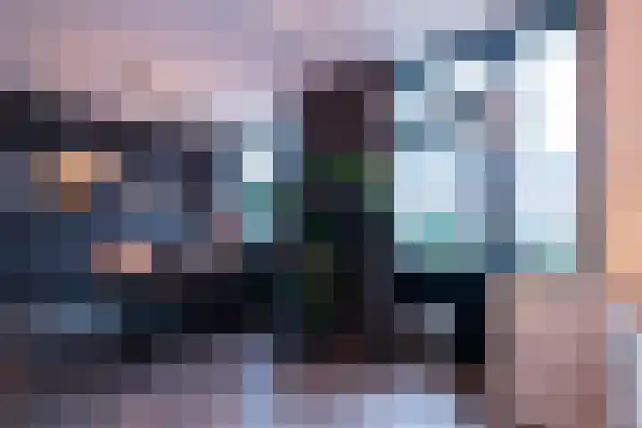 Barbeel 12 Hellevoetsluis thumbnail 16