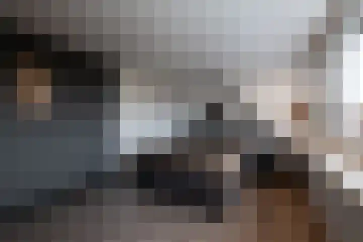 Barbeel 12 Hellevoetsluis thumbnail 19