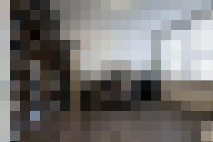 Barbeel 12 Hellevoetsluis thumbnail 21