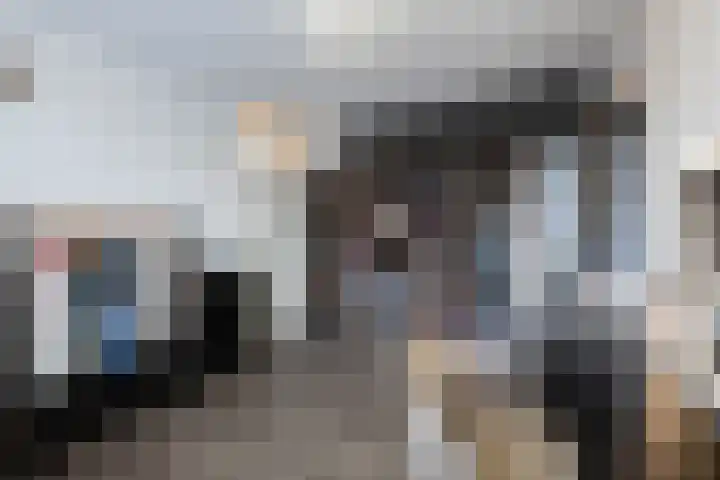 Barbeel 12 Hellevoetsluis thumbnail 22