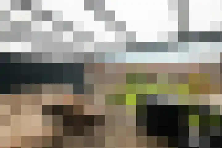Barbeel 12 Hellevoetsluis thumbnail 29