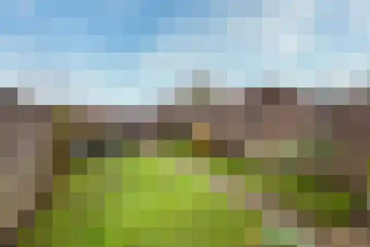 Barbeel 12 Hellevoetsluis thumbnail 31