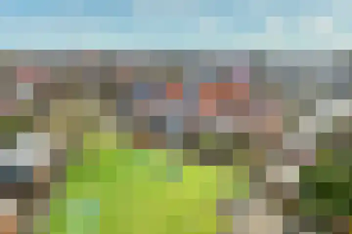Barbeel 12 Hellevoetsluis thumbnail 33