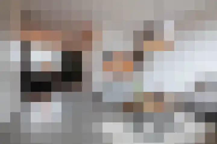 Barbeel 12 Hellevoetsluis thumbnail 7