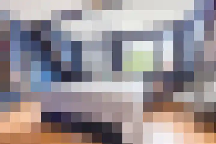 Barbeel 6 Hellevoetsluis thumbnail 12
