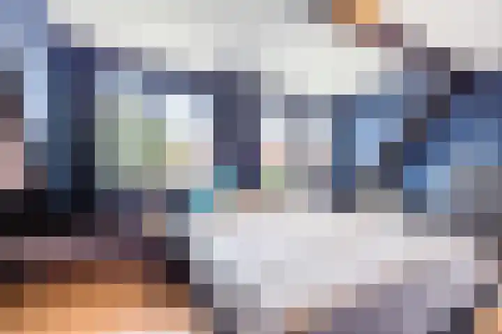 Barbeel 6 Hellevoetsluis thumbnail 13