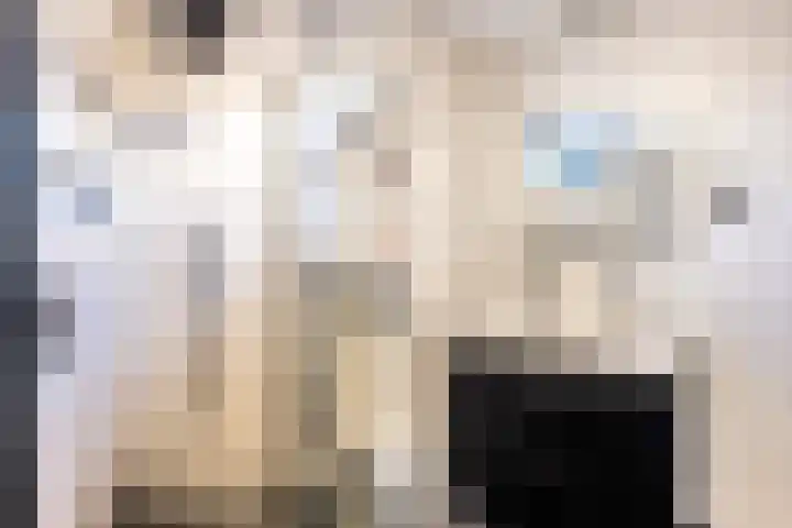 Barbeel 6 Hellevoetsluis thumbnail 17