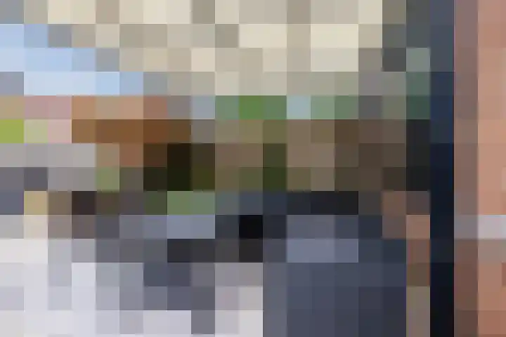 Barbeel 6 Hellevoetsluis thumbnail 21