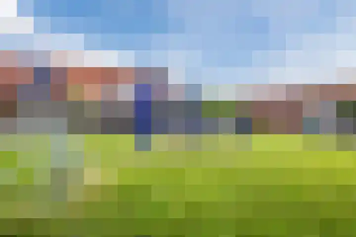 Barbeel 6 Hellevoetsluis thumbnail 28