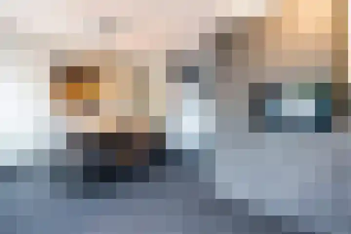 Barbeel 6 Hellevoetsluis thumbnail 5
