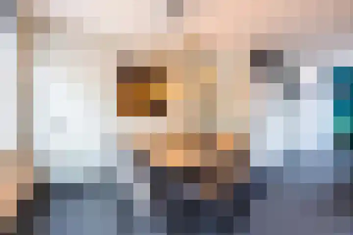 Barbeel 6 Hellevoetsluis thumbnail 6